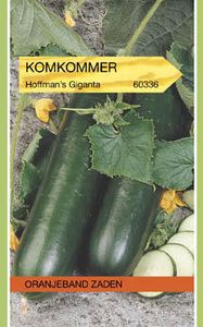 Komkommer