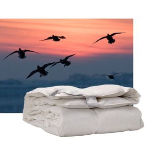 iSleep enkel dekbed 60% dons - warmteklasse 2 - Lits-jumeaux 240x220 cm