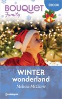 Winterwonderland - Melissa McClone - ebook