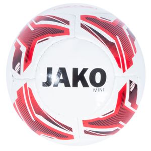 VFB Stuttgart Mini Voetbal 2022-2023