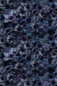 Moooi Carpets - Laagpolig Vloerkleed Flowergarden Rectangle Night Wool - 300x400 cm