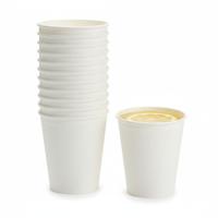 Koffiebekers wegwerp - 8x stuks - wit - 275 ml - bagasse suikerrietvezel - duurzaam - bewuste keuze