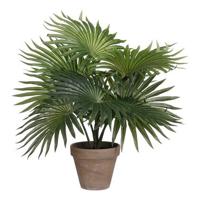 Mica Decorations Palm Kunstplant - H40 x Ø35 cm - Groen