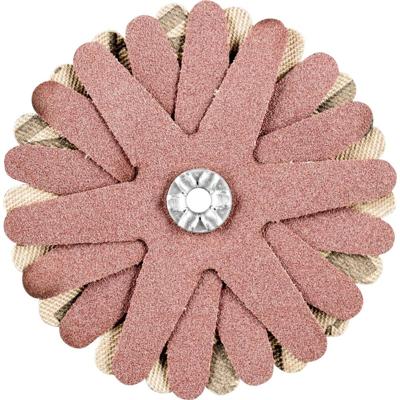 PFERD TOOLS 42732108 Schuursterren Diameter 70 mm 10 stuk(s)