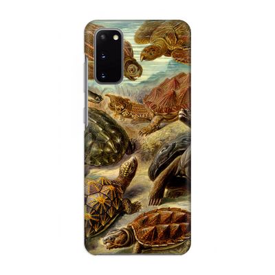 Haeckel Chelonia: Volledig geprint Samsung Galaxy S20 Hoesje