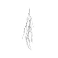 Spray 20x6x140 cm Zilver Spray 20x6x140 cm Zilver