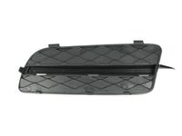 Ventilatiegrille, bumper 6502070096996P