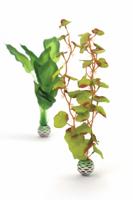 Zijden plantenset medium groen - Biorb