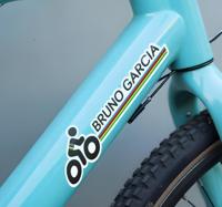 Wereldkampioen kleuren en naam fiets sticker Wereldkampioen kleuren en naam fiets sticker