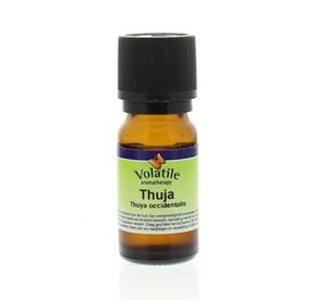 Thuja