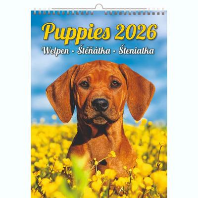 Puppies Kalender 2026