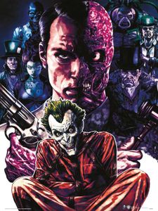 DC Comics Criminally Insane Art Print 30x40cm