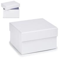 Multi-functionele Kist Karton Wit - Maat: 8,5 x 5 x 12,5 cm