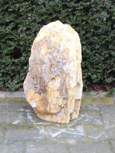 Fossiel Hout MA23-5, 51 cm