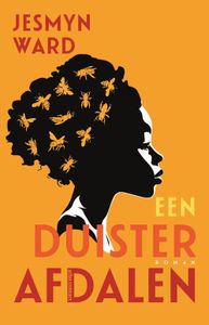 Een duister afdalen - Jesmyn Ward - ebook