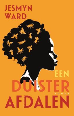 Een duister afdalen - Jesmyn Ward - ebook