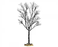 Butternut Tree Large