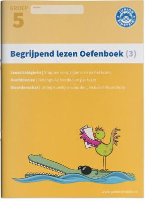 Begrijpend lezen (Paperback)