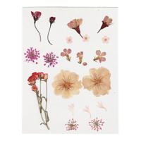 Creativ Company Gedroogde bloemen en bladeren lichtroze