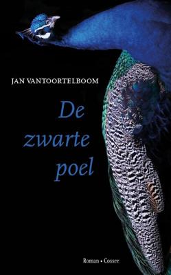 De zwarte poel (Paperback)