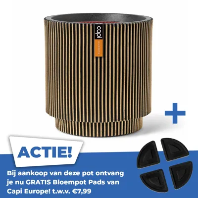 Vaas cylinder groove nl 36x38cm zwart goud