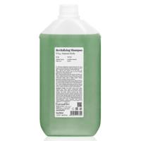 FarmaVita backbar revitalizing shampoo n°04 natural herbs 5000ml