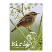 Birds Kalender 2026