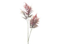 Kunsttak leather fern burgundy, 120 cm - Hortus