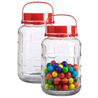 Voedsel opslag container - 2x - glas - 5 liter - afsluitdop en draag hengsel - transparant - voorraa