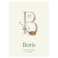 Gepersonaliseerde Geboorteposter - Letter