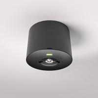 Locus - Noodverlichting opbouwspot zwart - 2 Watt 300 Lumen - 6000K daglicht wit - IP20 stofdicht - Met autotest functie