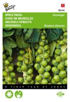 Spruitkool Groninger - Buzzy