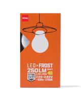 HEMA Led Peer Glass Frost E27 2.1W 250lm