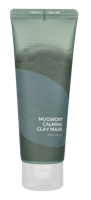 Isntree Mugwort Calming Clay Mask 100 ml