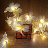 1.5 m 10 LEDs batterij aangedreven warm wit creatieve DIY Frangipani geleid string verlichting bloemen vakantie verlichting evenement partij Garland s
