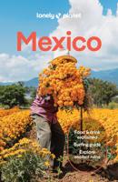 Reisgids Mexico | Lonely Planet Reisgids Mexico | Lonely Planet