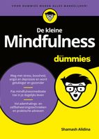 De kleine Mindfulness voor Dummies - Shamash Alidina - ebook