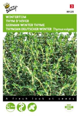 Tijm Echte Winter Thymus vulgaris - Buzzy