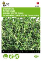 Tijm Echte Winter Thymus vulgaris - Buzzy