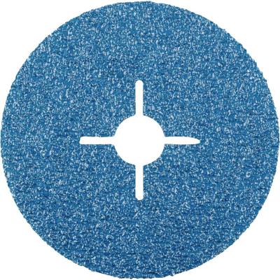 Rhodius 300315 Fiberschijf Diameter 125 mm Boordiameter 22.23 mm RVS, Staal 1 stuk(s)