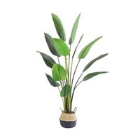 Kunstplant Blad Strelitzia Soft 180 cm - Buitengewoon de Boet