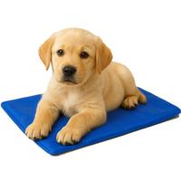 Nobleza Koelmat voor hond en kat - 40x50 cm