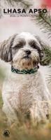 Lhasa Apso Slimline Kalender 2026
