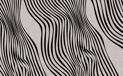 Zwarte abstracte lijnen vinyl tapijt eetkamer