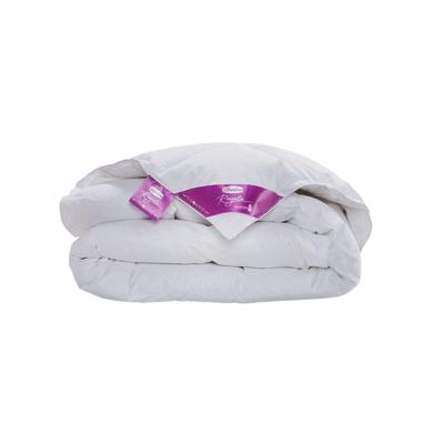 Silvana Royale 3 Paars 100 % donzen Dekbed