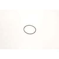 Oase Living Water (nr9.) Oase O-Ring Titanium 51000