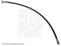 Blue Print Remslang ADN153248