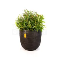 Bloempot Bol Rib Zwart 35 34 Capi Europe + Leucothoe