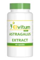 Elvitum Astragalus extract 500mg 60 Capsules