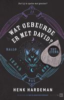 Wat gebeurde er met David? - Henk Hardeman - Hardcover (9789000383481) - thumbnail
